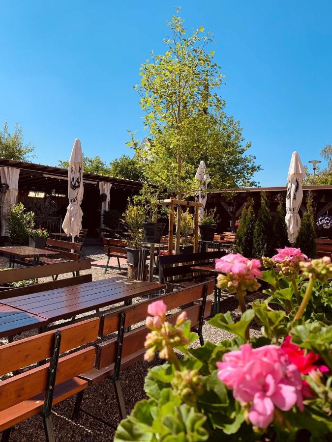 Landgasthof Zur Sonne Dillingen an der Donau Zewnętrze zdjęcie